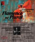 flamenco_no_plural.jpg
